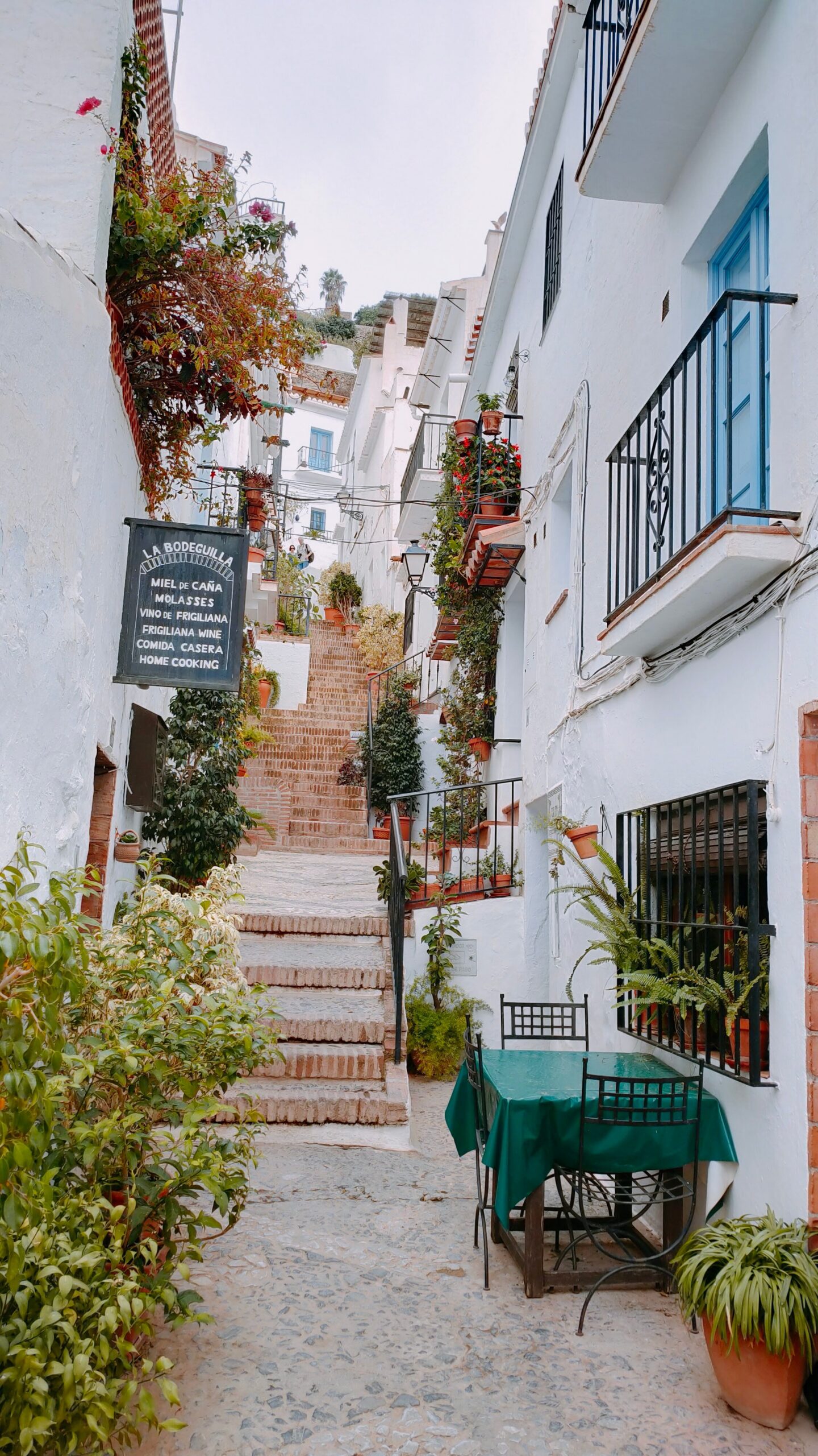 Nerja y Frigiliana desde Costa del Sol
